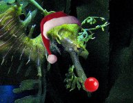 rudolph.jpg