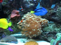 tank-april-04-004.jpg
