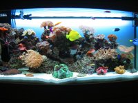 jeri-party-and-tank-033.jpg