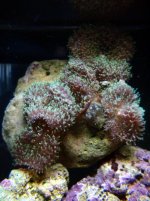 pictures taken on 01-03-04 029.jpg