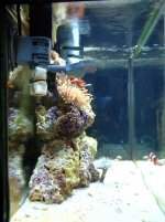 pictures taken on 01-03-04 041.jpg