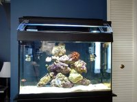 pictures taken on 01-03-04-b 001.jpg