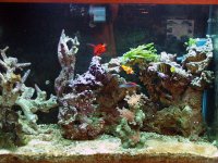 right side 4-20-05.JPG