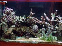 left side 4-20-05.JPG