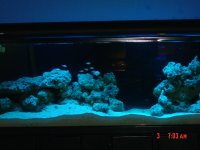 dsc00190.jpg