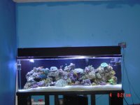 dsc00197.jpg