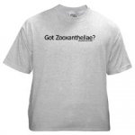 tshirt-gz.jpg