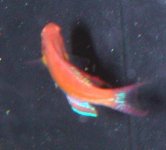 dscn3785.jpg
