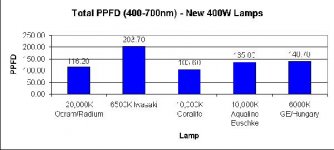 400w.jpg