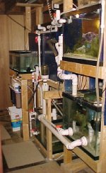 set-up back right side.jpg