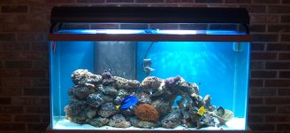 Full Frontal Aquarium.jpg