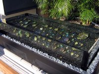 clam display opening 4_red.jpg