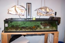 mini-newtank 002.jpg