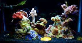 living room side tank 04-04.jpg