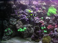 IMG_1011.jpg