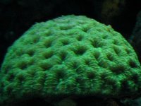 IMG_0309.jpg