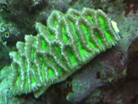 IMG_0303.jpg