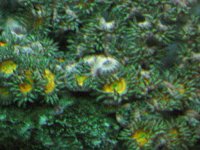IMG_0310.jpg