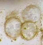 cnv0024.jpg