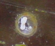 cnv0023.jpg