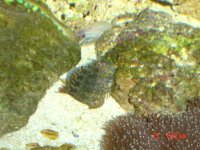 what ya lookin at.jpg