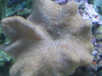 img_0405.jpg