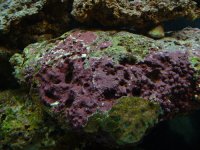 dscf0002_resize.jpg