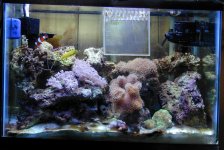tank101004.jpg