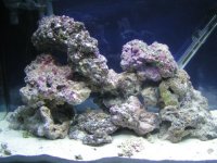 pict1769.jpg