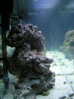 pict1771.jpg