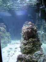 pict1772.jpg