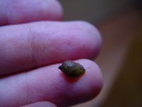 dsc08055.jpg