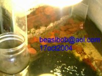 filterbox5x37572dpi.jpg