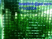 chaeto5x37572dpi.jpg