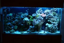 75gal.jpg