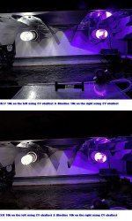 Visual Comparison BLV & XM.jpg