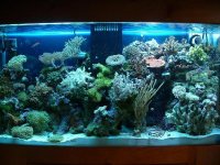 my75g.jpg
