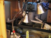 02222005sump1.JPG