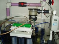tank sump setup.jpg