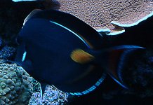 45472004_0413_211657aa.jpg