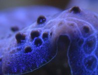 img_1535.jpg