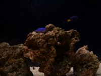 dscf0010_resize.jpg