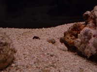 dscf0019_resize.jpg