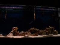 dscf0022_resize.jpg