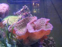img_0135.jpg