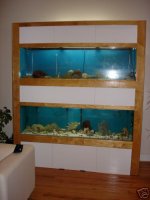 fishtank.jpg