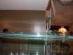 close ups of tank 002.jpg