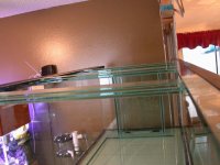 close ups of tank 001.jpg