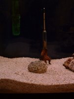 dscf0014_resize_173.jpg