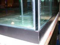close ups of tank 008.jpg